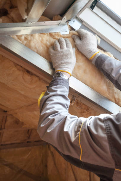 Best Spray Foam Insulation in Lake Camelot, IL