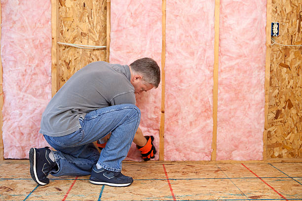 Best Fiberglass Insulation in Lake Camelot, IL