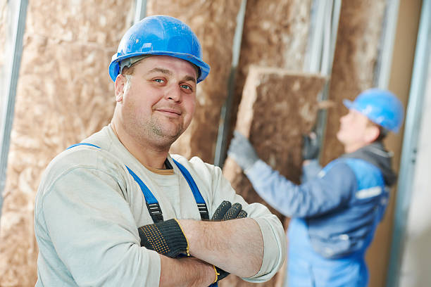 Best Insulation Maintenance and Repair in Lake Camelot, IL