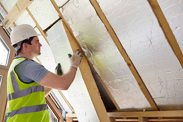 Best Residential Insulation in Lake Camelot, IL