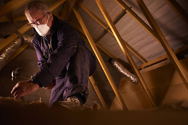Best Insulation Maintenance and Repair in Lake Camelot, IL